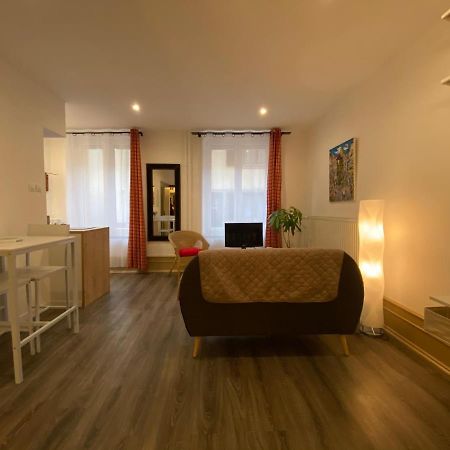 L'Ours De Colmar - Appartements En Centre Ville ภายนอก รูปภาพ