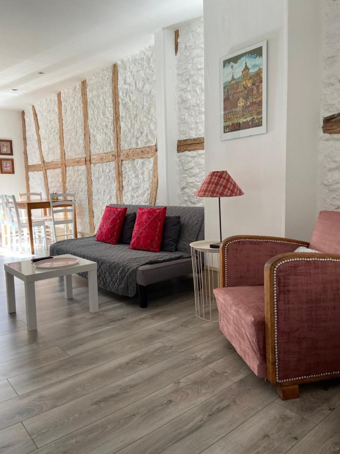 L'Ours De Colmar - Appartements En Centre Ville ภายนอก รูปภาพ