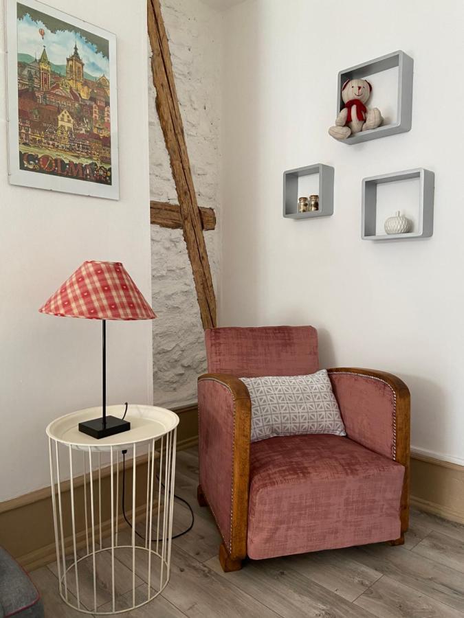 L'Ours De Colmar - Appartements En Centre Ville ภายนอก รูปภาพ