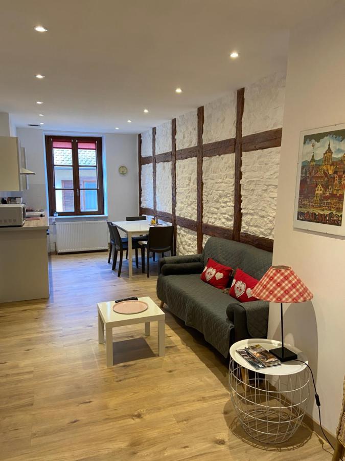 L'Ours De Colmar - Appartements En Centre Ville ภายนอก รูปภาพ