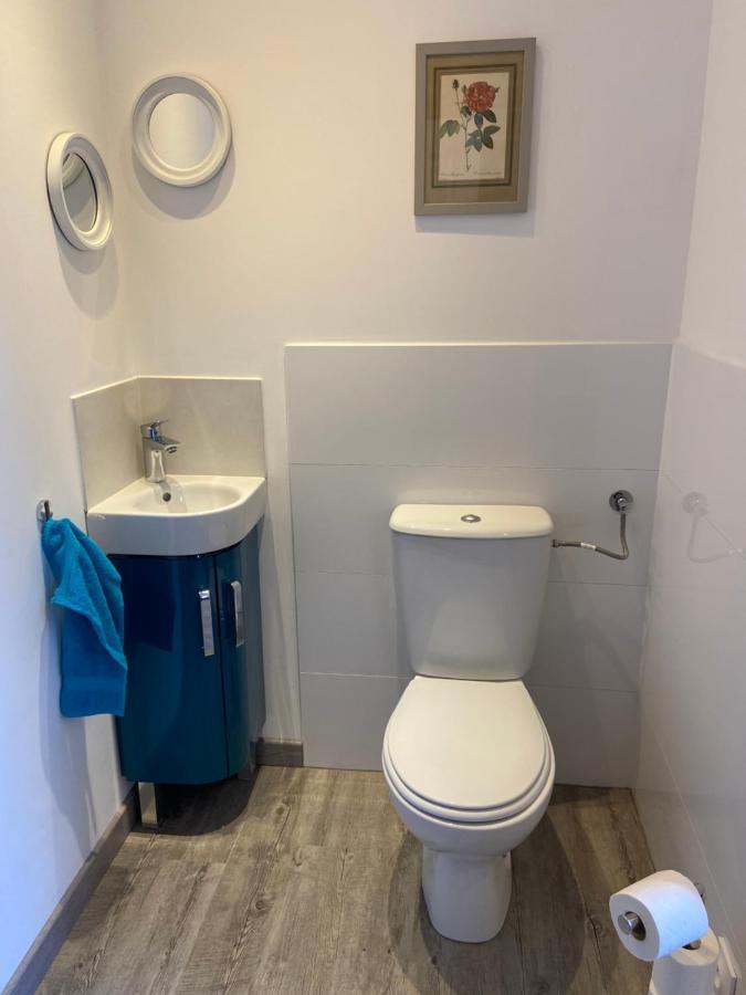 L'Ours De Colmar - Appartements En Centre Ville ภายนอก รูปภาพ