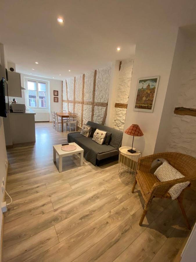 L'Ours De Colmar - Appartements En Centre Ville ภายนอก รูปภาพ