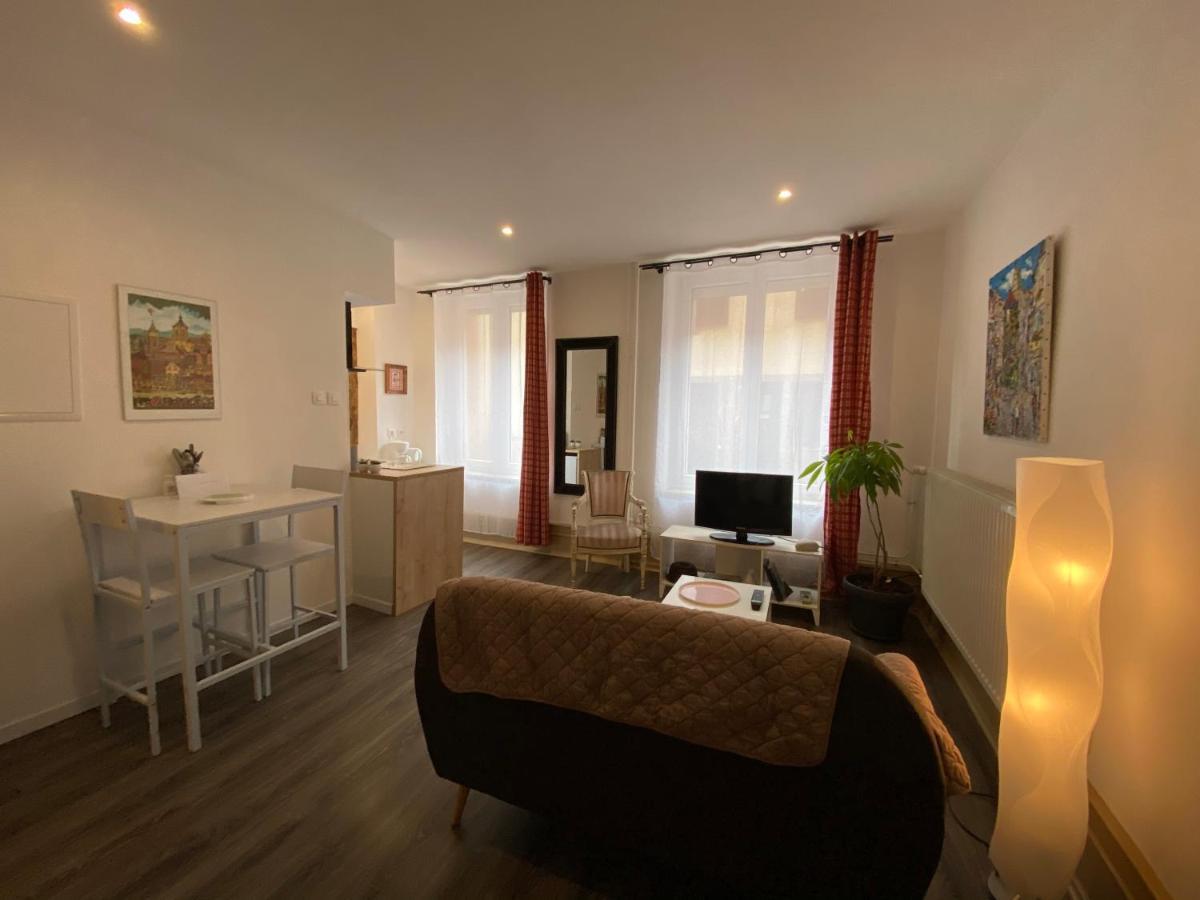 L'Ours De Colmar - Appartements En Centre Ville ภายนอก รูปภาพ
