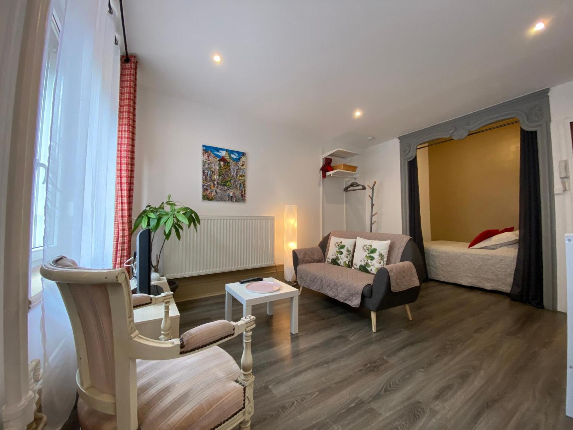 L'Ours De Colmar - Appartements En Centre Ville ภายนอก รูปภาพ