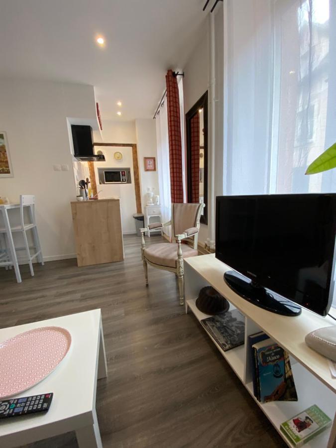 L'Ours De Colmar - Appartements En Centre Ville ภายนอก รูปภาพ