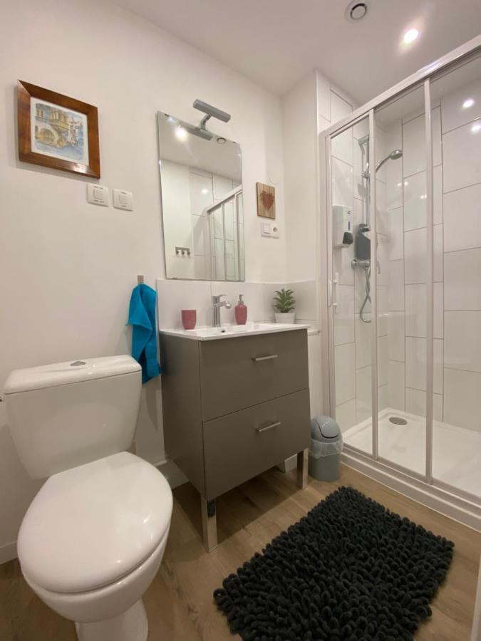 L'Ours De Colmar - Appartements En Centre Ville ภายนอก รูปภาพ