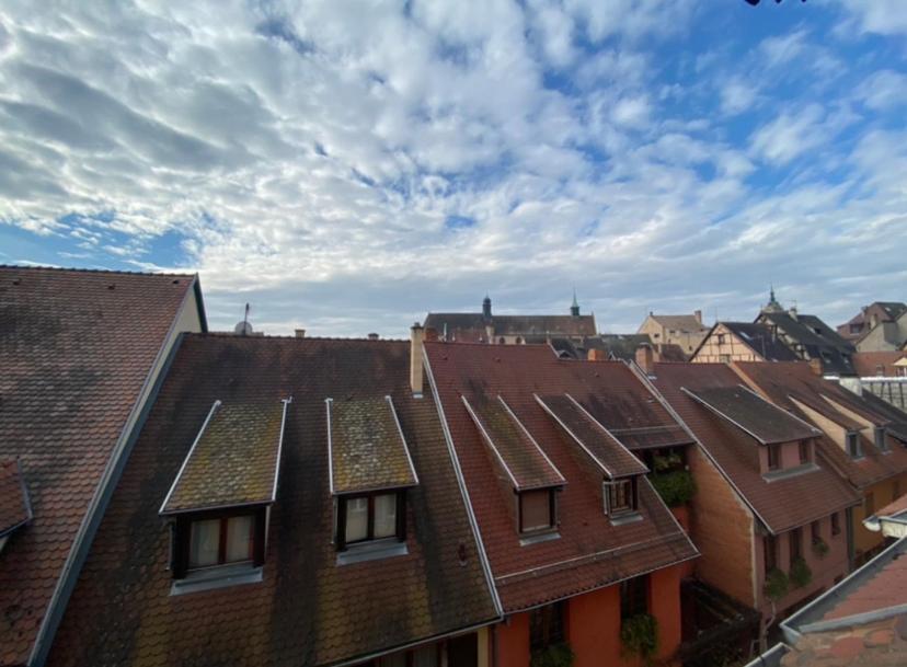L'Ours De Colmar - Appartements En Centre Ville ภายนอก รูปภาพ