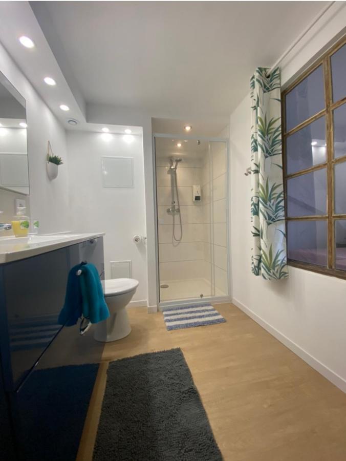 L'Ours De Colmar - Appartements En Centre Ville ภายนอก รูปภาพ