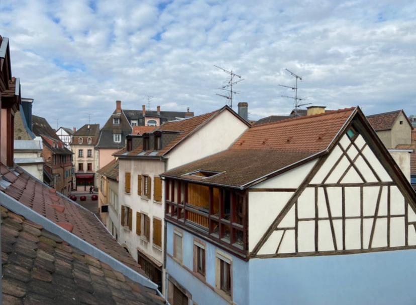 L'Ours De Colmar - Appartements En Centre Ville ภายนอก รูปภาพ