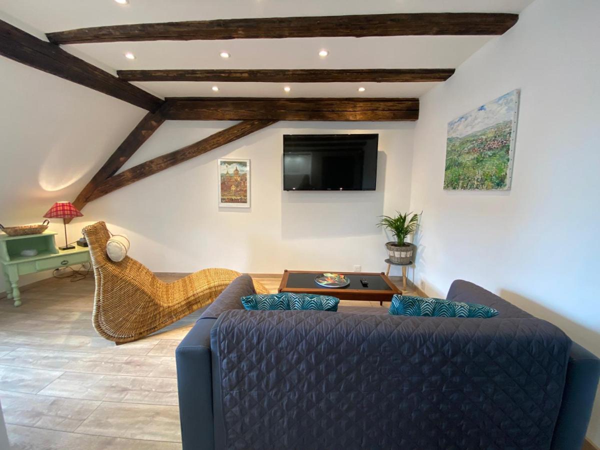 L'Ours De Colmar - Appartements En Centre Ville ภายนอก รูปภาพ