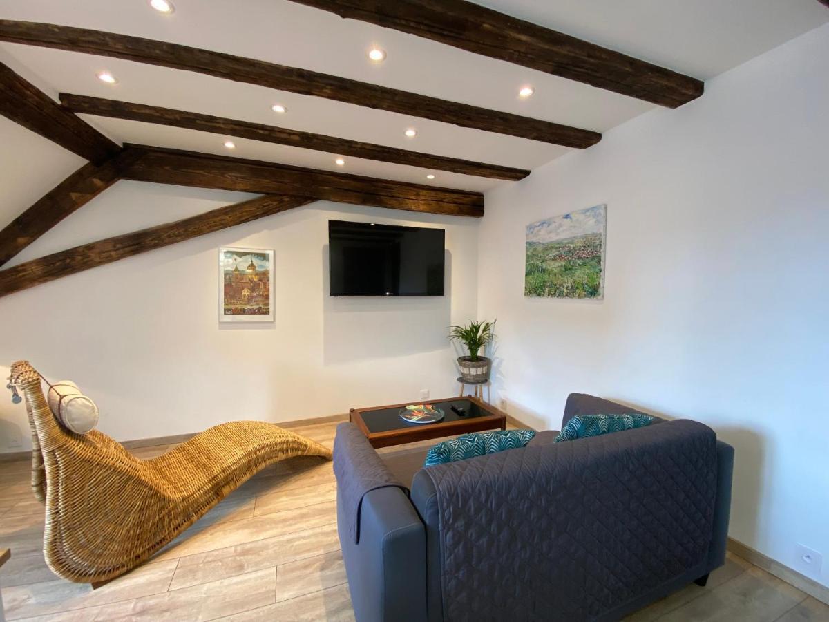 L'Ours De Colmar - Appartements En Centre Ville ภายนอก รูปภาพ