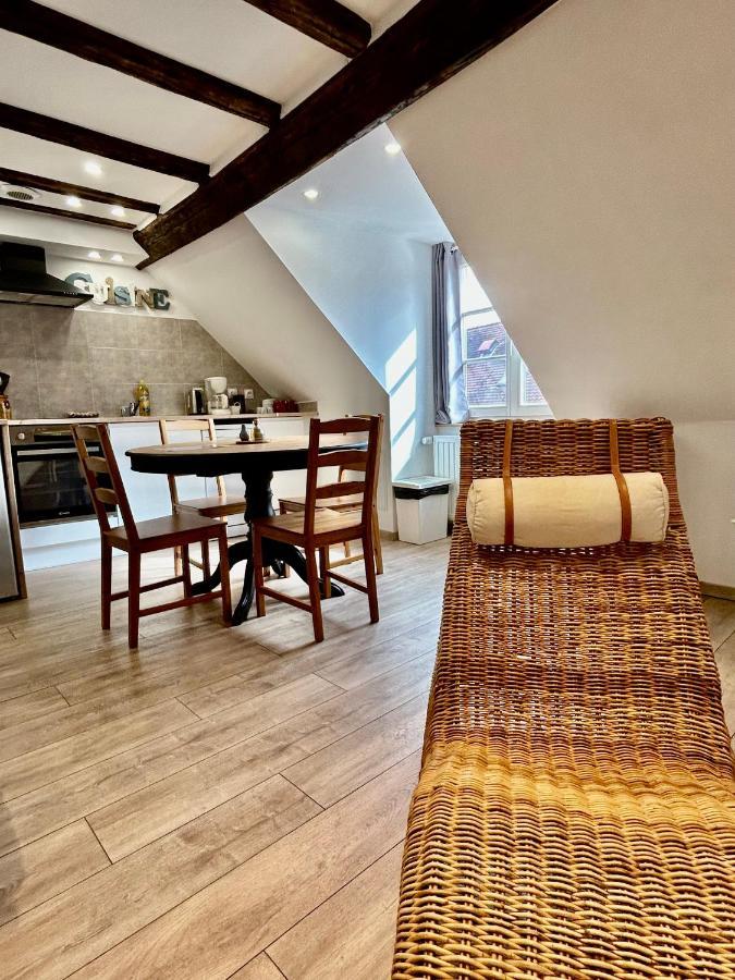 L'Ours De Colmar - Appartements En Centre Ville ภายนอก รูปภาพ