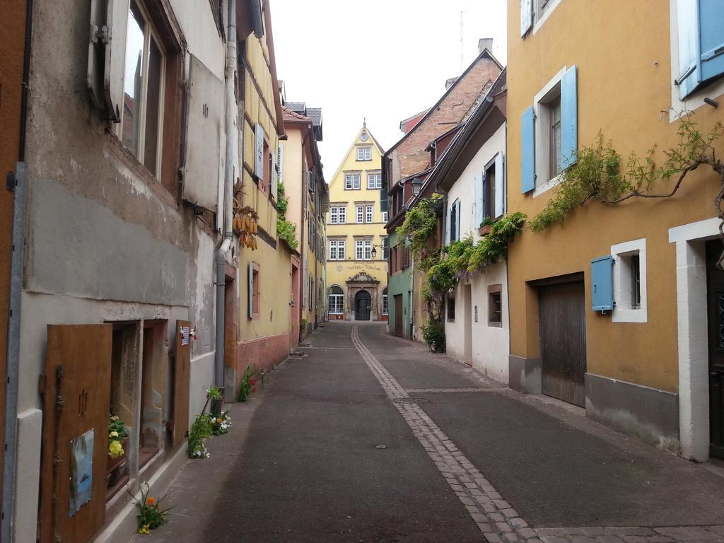 L'Ours De Colmar - Appartements En Centre Ville ภายนอก รูปภาพ